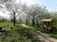 /album/fotogalerie-toulcuv-dvur-ekologicke-centrum-a-farma/toulcuv-dvur16-jpg/